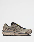 XT-6 GTX White Pepper / Silver Sage / Dark Gull Gray