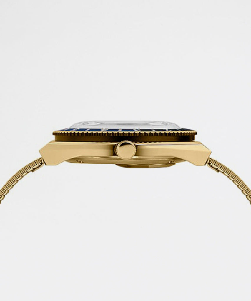 Timex Archive Q Diver Inspired Gold Tone Case Blue watches